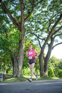 BIB: 
                            <button type="button" onclick="openModal(26545947)" class="btn btn-primary btn-sm float-right btn-popup" data-toggle="modal" data-target=".modal-high-quality">
                        <i class="fas fa-shopping-cart"></i> Add to Cart
                    </button>
                                            <button type="button" onclick="isThisMe(26545947, true)" class="btn btn-success btn-sm float-right btn-popup btn-isme hidden" data-toggle="tooltip" data-placement="bottom" title="นี่คือรูปของคุณใช่ไหม คลิกที่นี่เพื่อเอาเข้าอัลบั้ม">
                        <i class="fas fa-plus"></i> Add to album
                    </button>
                    <button type="button" onclick="isThisMe(26545947, false)" class="btn btn-warning btn-sm float-right btn-popup btn-isnotme hidden">
                        <i class="fas fa-ban"></i> Remove from album
                    </button>